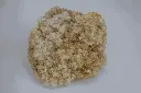 Calcite #02.2