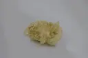 Calcite #03.5